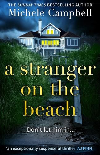 Cover image for A Stranger on the Beach