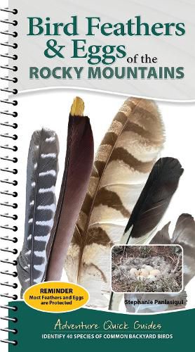 Cover image for Bird Feathers & Eggs of the Rocky Mountains