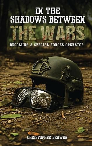 Cover image for In the Shadows Between the Wars