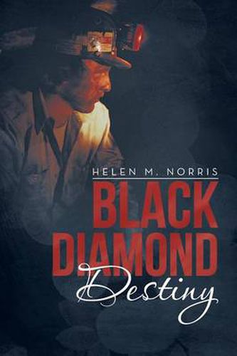 Cover image for Black Diamond Destiny