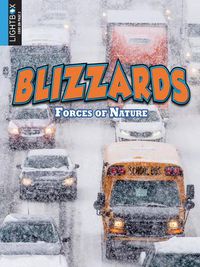 Cover image for Blizzards