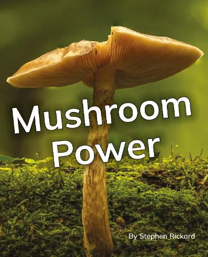 Cover image for Mushroom Power