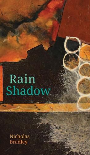 Cover image for Rain Shadow