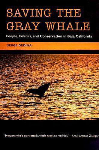 Cover image for Saving the Gray Whale: People, Politics, and Conservation in Baja California