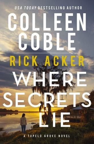 Cover image for Where Secrets Lie