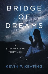 Cover image for Bridge of Dreams