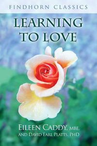 Cover image for Learning to Love