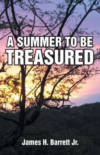 Cover image for A Summer to Be Treasured