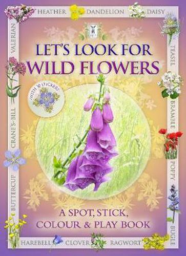 Let's Look for Wild Flowers