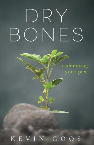 Cover image for Dry Bones: Redeeming Your Past