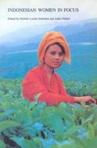 Cover image for Indonesian Women in Focus