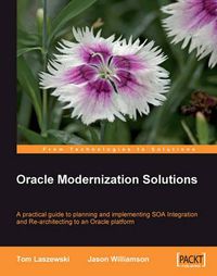 Cover image for Oracle Modernization Solutions