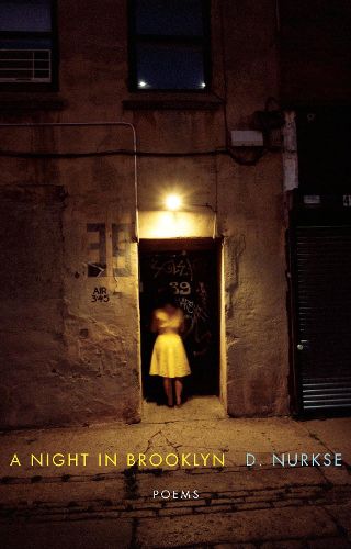 Cover image for A Night in Brooklyn: Poems
