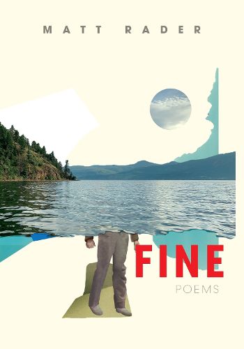 Cover image for Fine