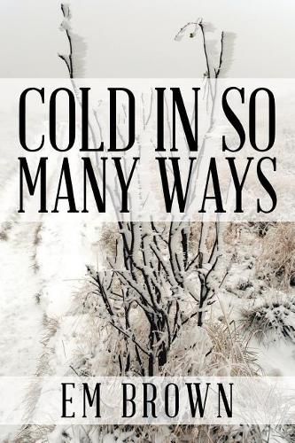 Cover image for Cold in So Many Ways