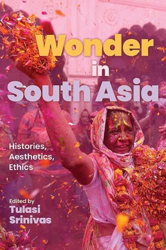 Cover image for Wonder in South Asia