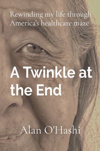 Cover image for A Twinkle at the End