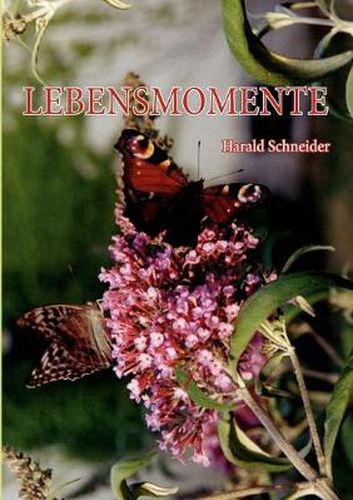 Cover image for Lebensmomente