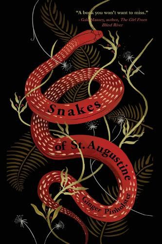 Cover image for Snakes of St. Augustine