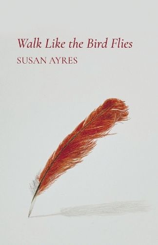 Cover image for Walk Like the Bird Flies