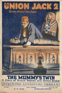 Cover image for The Mummy's Twin