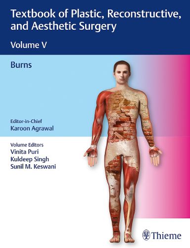 Cover image for Textbook of Plastic, Reconstructive, and Aesthetic Surgery, Vol 5: Burns
