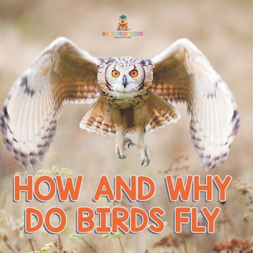 Cover image for How and Why Do Birds Fly