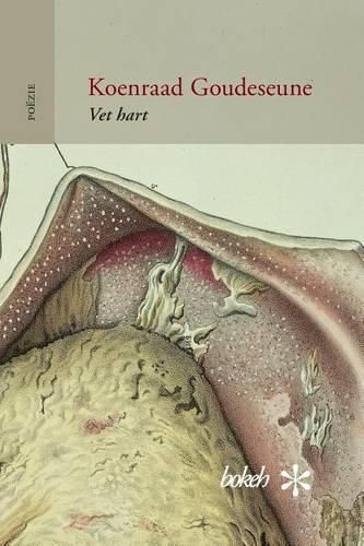 Cover image for Vet hart