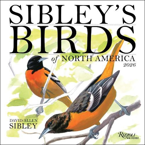 Cover image for Sibley's Birds of North America 2026 Wall Calendar
