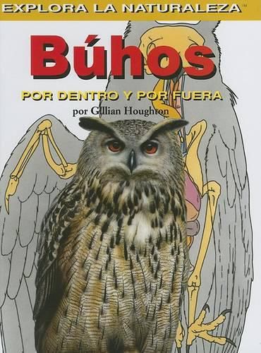 Cover image for Buhos: Por Dentro Y Por Fuera (Owls: Inside and Out)