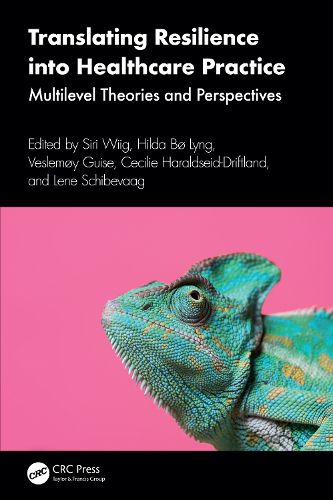 Cover image for Translating Resilience into Healthcare Practice