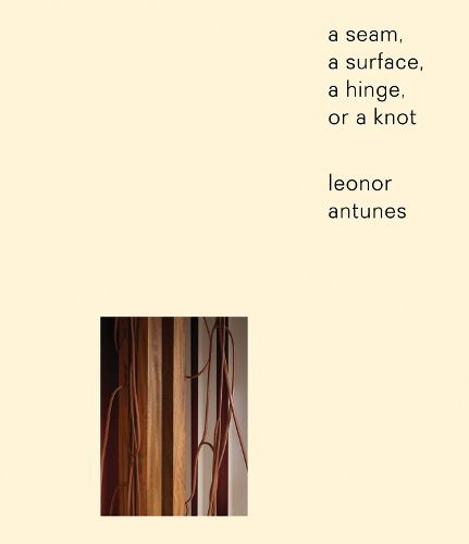 Cover image for Leonor Antunes: a seam, a surface, a hinge, or a knot