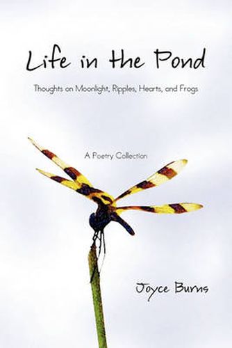 Cover image for Life in the Pond