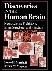 Cover image for Discoveries in the Human Brain: Neuroscience Prehistory, Brain Structure, and Function