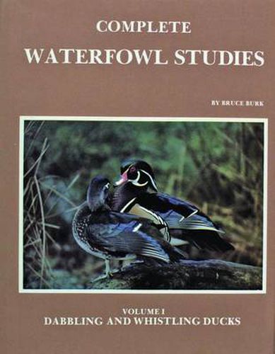 Cover image for Complete Waterfowl Studies