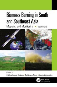 Cover image for Biomass Burning in South and Southeast Asia