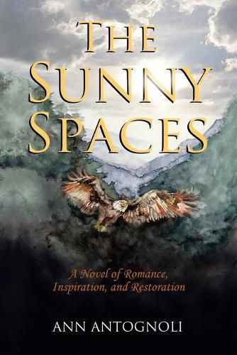 Cover image for The Sunny Spaces: A Novel of Romance, Inspiration, and Restoration