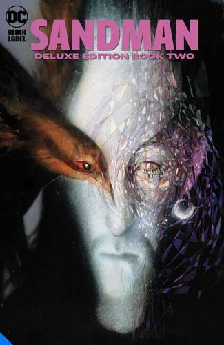 Cover image for The Sandman: The Deluxe Edition Book Two