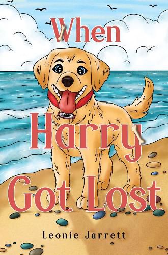 Cover image for When Harry Got Lost
