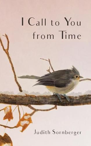 Cover image for I Call to You from Time