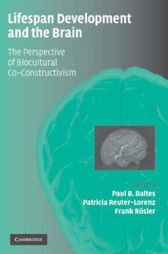 Cover image for Lifespan Development and the Brain: The Perspective of Biocultural Co-Constructivism