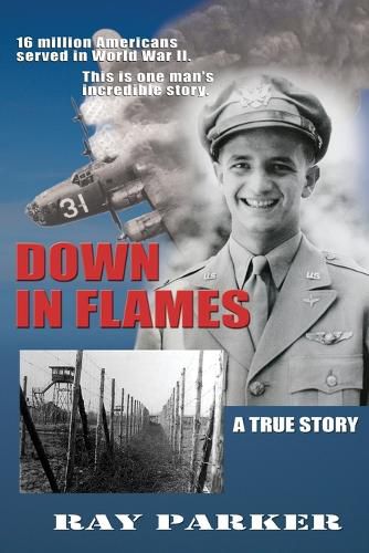 Cover image for Down in Flames