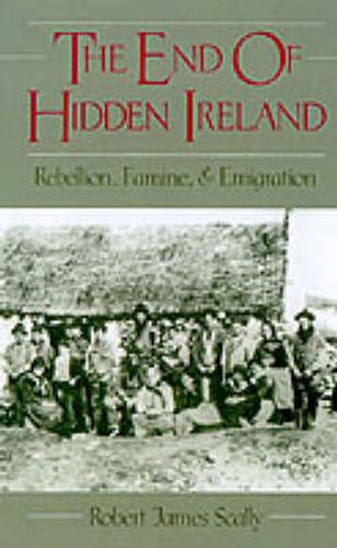 Cover image for The End of Hidden Ireland: Rebellion, Famine and Emigration