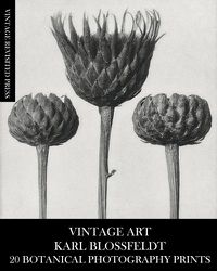 Cover image for Vintage Art: Karl Blossfeldt 20 Botanical Photography Prints