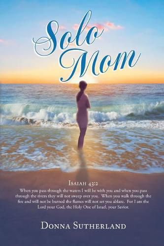 Cover image for Solo Mom