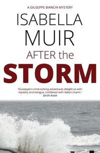 Cover image for After the Storm