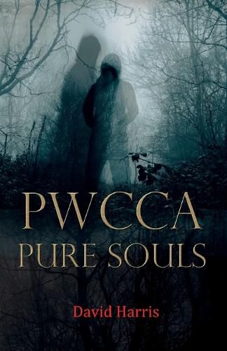 Cover image for Pwcca Pure Souls