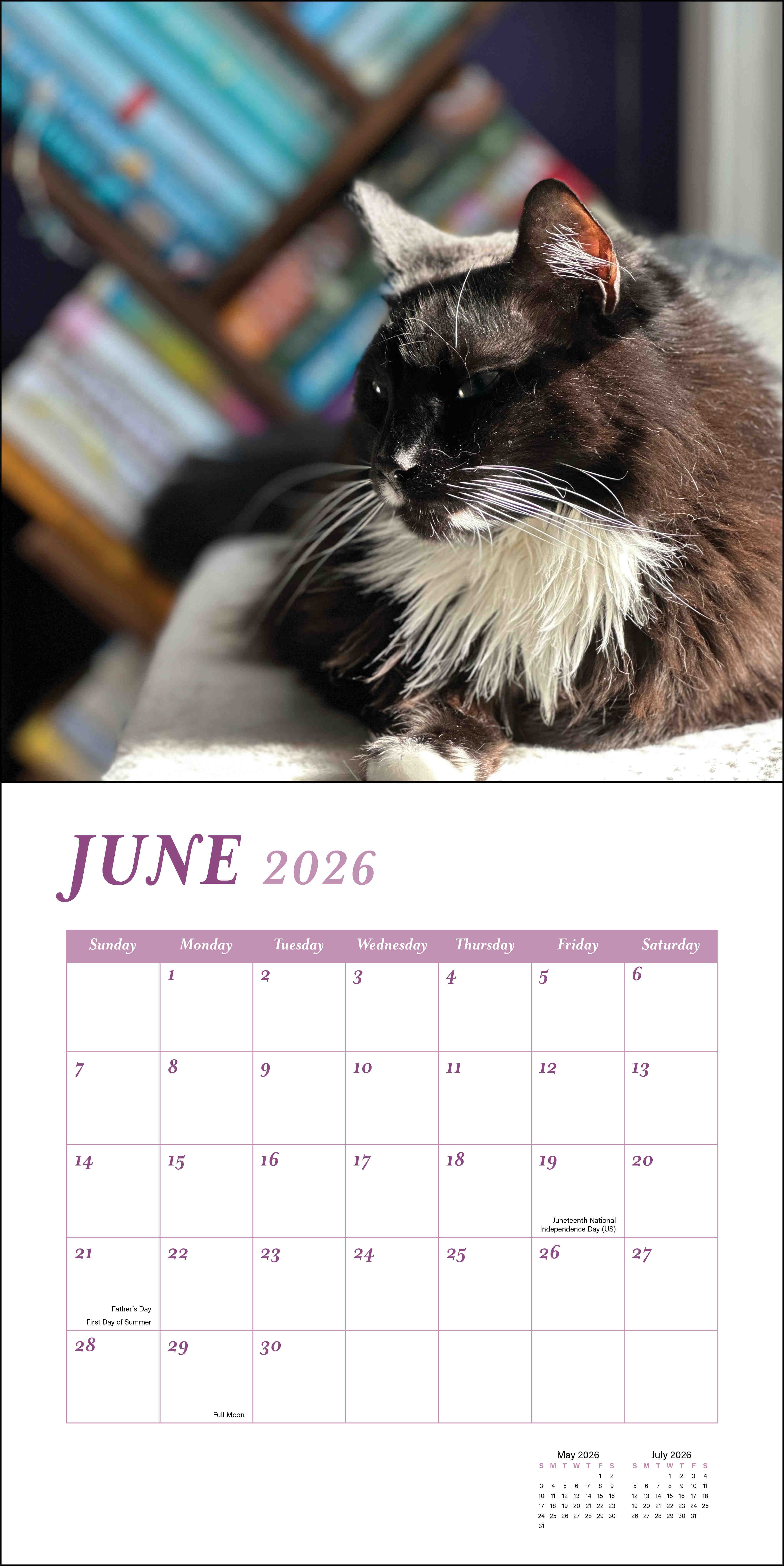 Cats and Books 2026 Wall Calendar