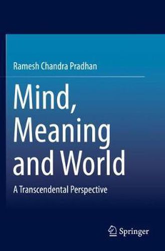 Cover image for Mind, Meaning and World: A Transcendental Perspective