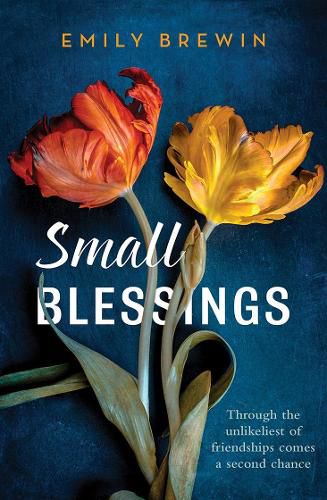 Cover image for Small Blessings